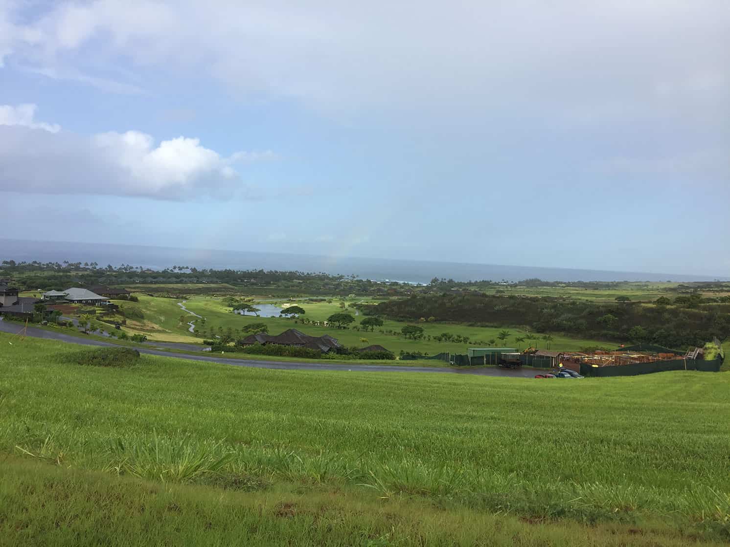 grassy hills