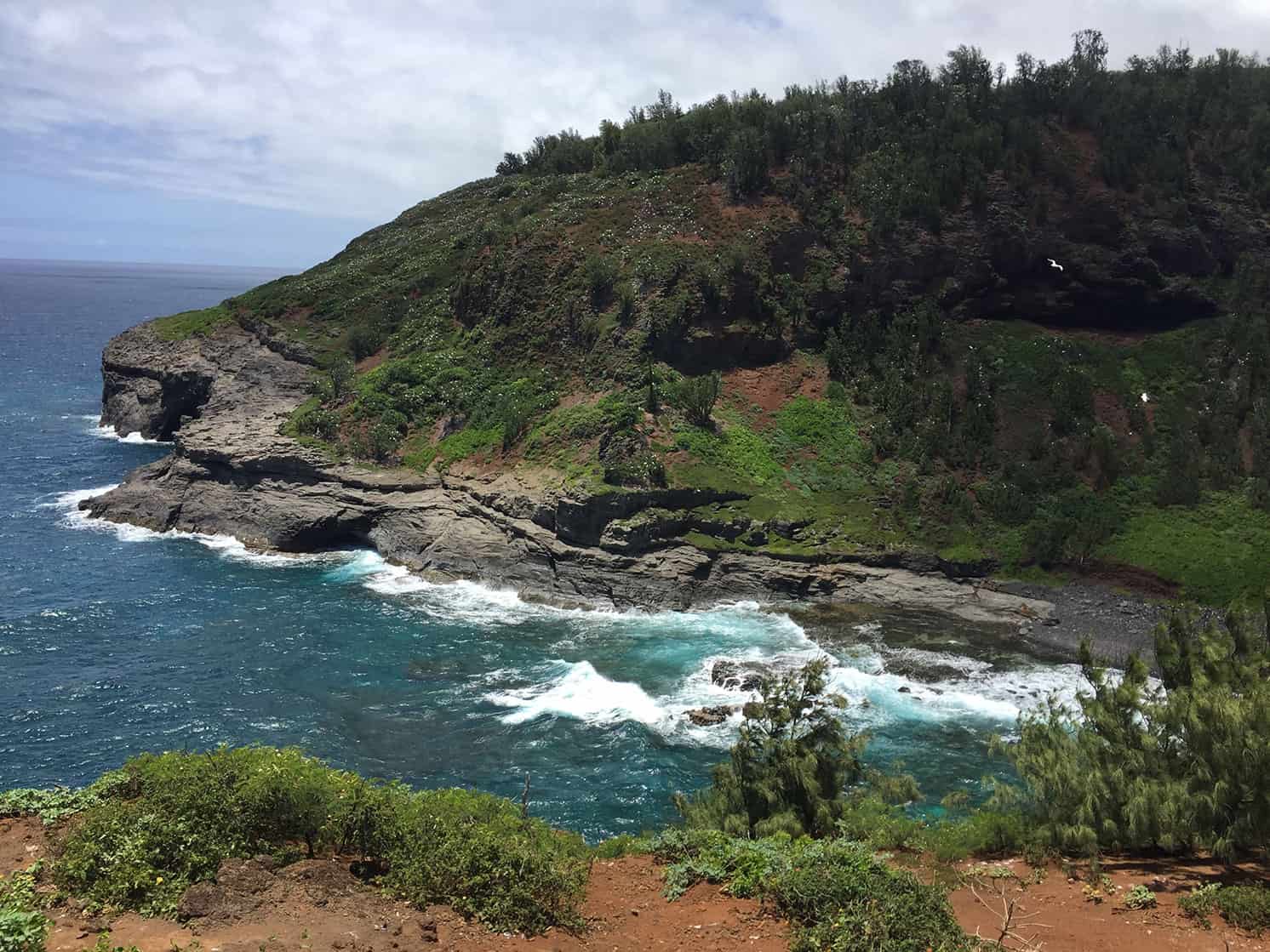 green cove