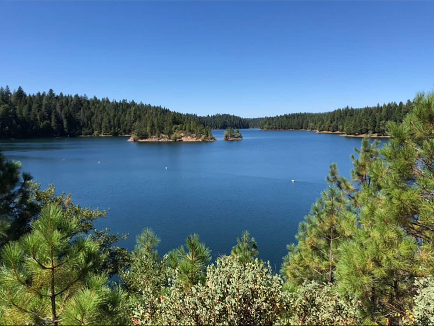 paradise lake